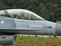 15117 [F-16A Block 20 MLU]