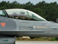 15134 [F-16A Block 20 MLU]