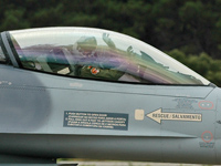 15125 [F-16A Block 20 MLU]