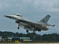 15123 [F-16A Block 20 MLU]