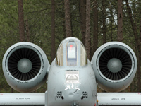 81-0981 [A10C Thunderbolt II]